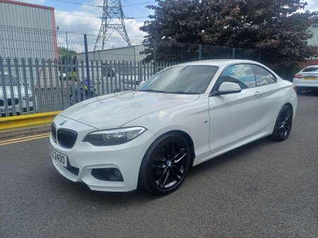 BMW 2 SERIES 2.0 218d M Sport Euro 6 (s/s) 2dr